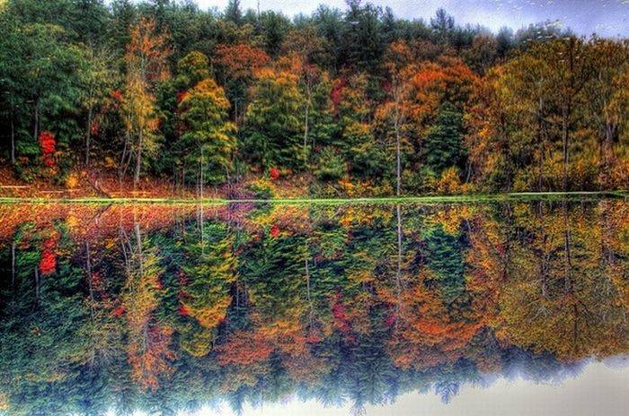 .jpg3 (700x464, 91Kb)