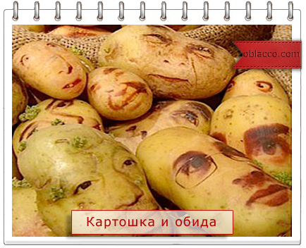 3518263_kartoshka (434x352, 275Kb)