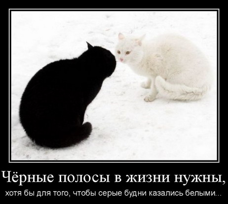 Поздравления черная полоса белая полоса черная