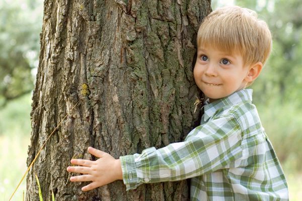 boy-hugging-tree (600x399, 66Kb)