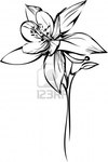 Превью 9836102-color-image-of-a-houseplant-small-orchid (267x400, 19Kb)