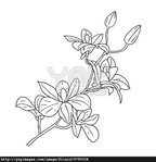 Превью twig-blossoming-orchids-on-a-background-9501da (512x530, 82Kb)