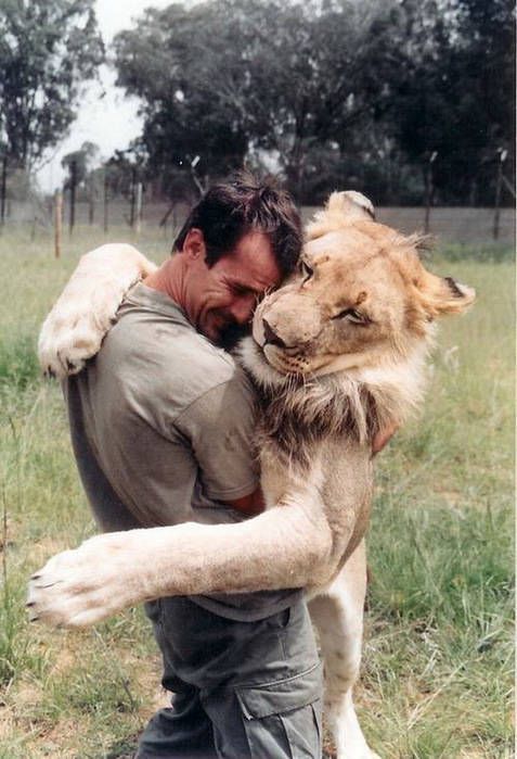 kevinrichardsonthelionwhisperer14 (477x700, 118Kb)