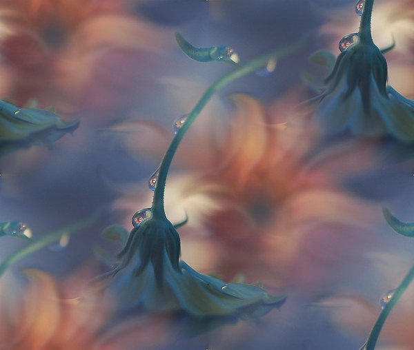 0 (600x508, 30Kb)