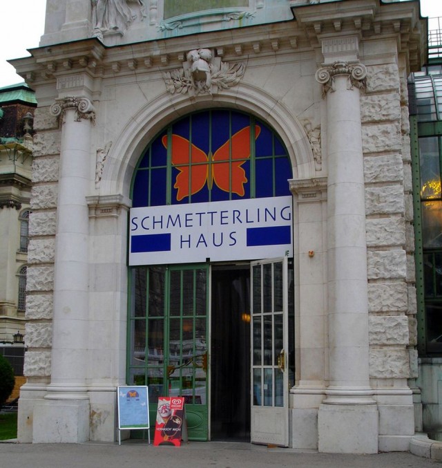 Schmetterlinghaus4-640x677 (640x677, 113Kb)