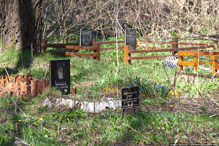 Кладбище домашних животных в Алтуфьеве