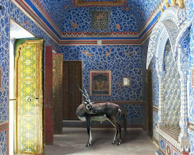 KarenKnorr08 (680x543, 468Kb)