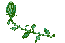 029   (95x64, 3Kb)