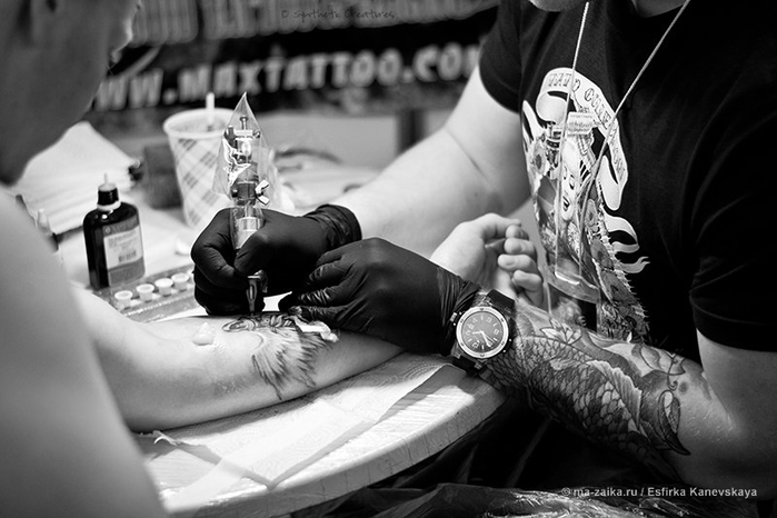 Tattoo Collection-2013