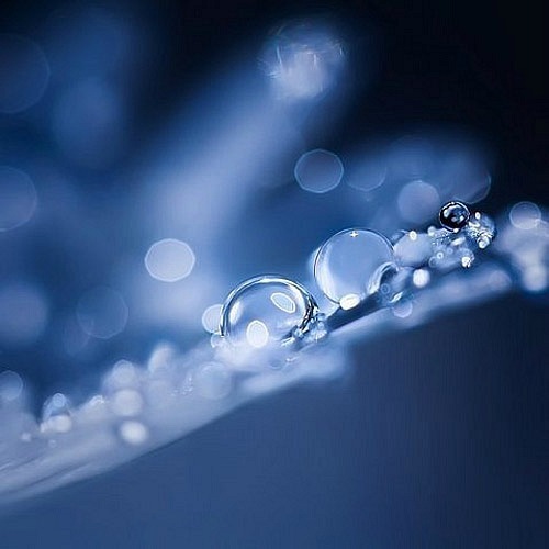 x_8ae145aa (500x500, 38Kb)