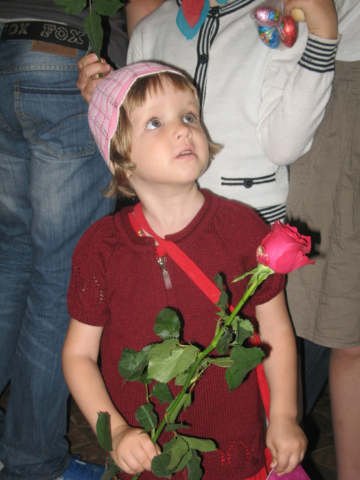 IMG_9352 (525x700, 386Kb)