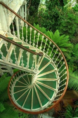 green stairs (250x376, 60Kb)