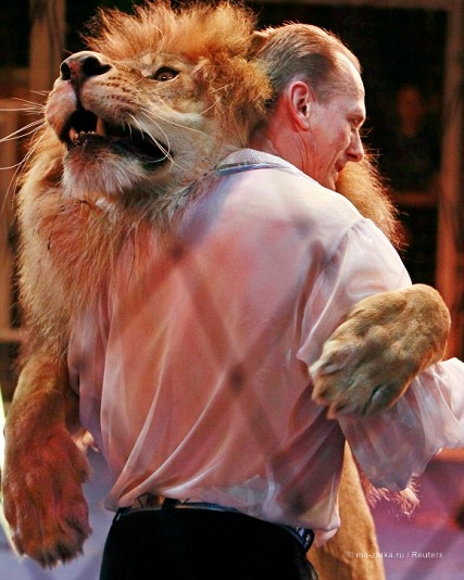 Танцы со львами: репетиция укротителя львов (Dances with lions: lion tamer rehearsals)