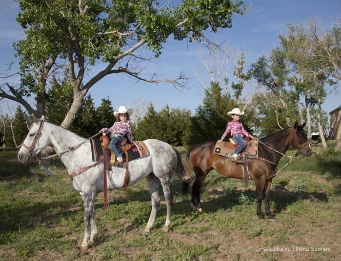 Маленькие девушки-ковбои (The little cowgirls)