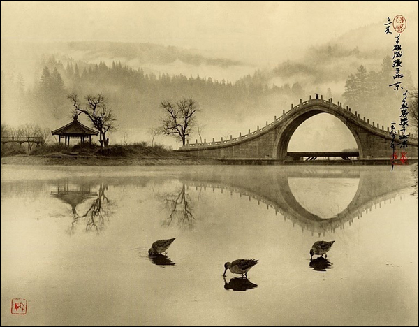 5289316_0don_hong_3 (600x468, 221Kb)