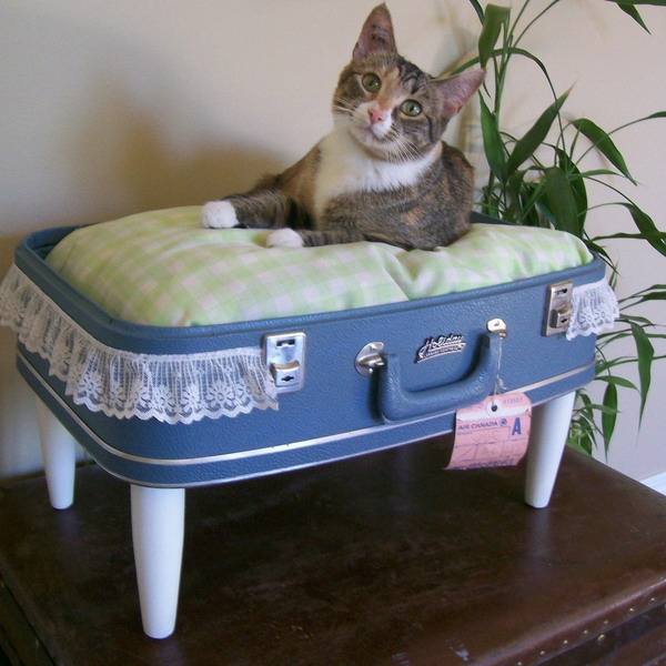 recycled-suitcase-ideas-pets-bed1 (600x600, 94Kb)