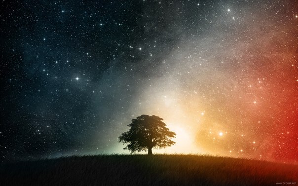 3646178_7 (604x377, 54Kb)