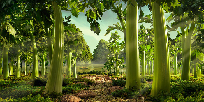 CeleryForest (700x350, 192Kb)