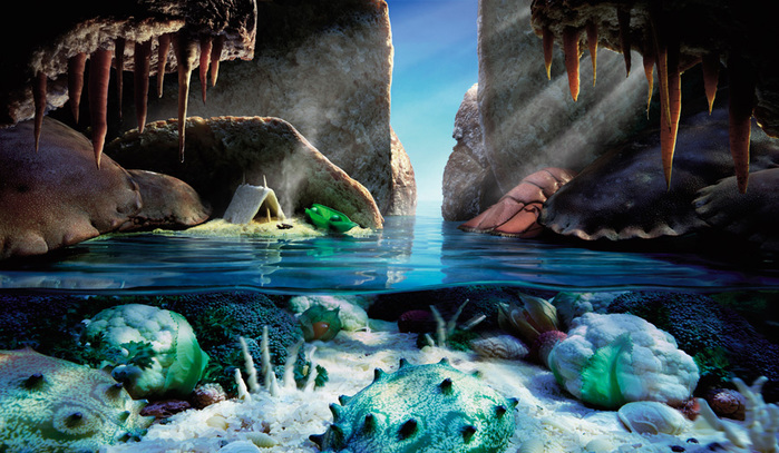 Crab-Cave (700x407, 175Kb)