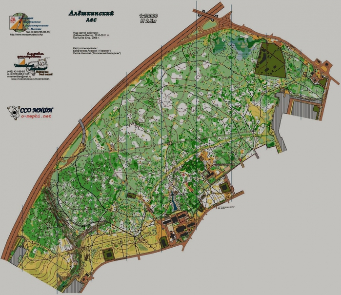 Карта леса алешкинского леса