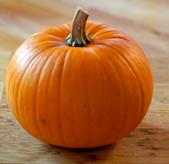 pumpkin (575x557, 198Kb)