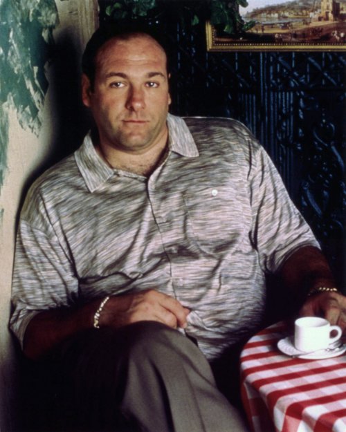 ripjamesgandolfini (500x625, 72Kb)