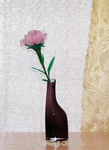 DSC_1927 (508x700, 299Kb)