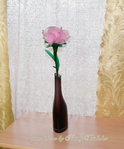 DSC_1932 (582x700, 330Kb)