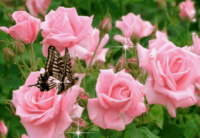 розы с бабочкой (400x276, 1069Kb)