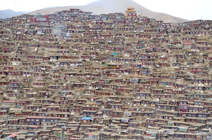 Дома тибетских буддистов на склоне Larung Gar