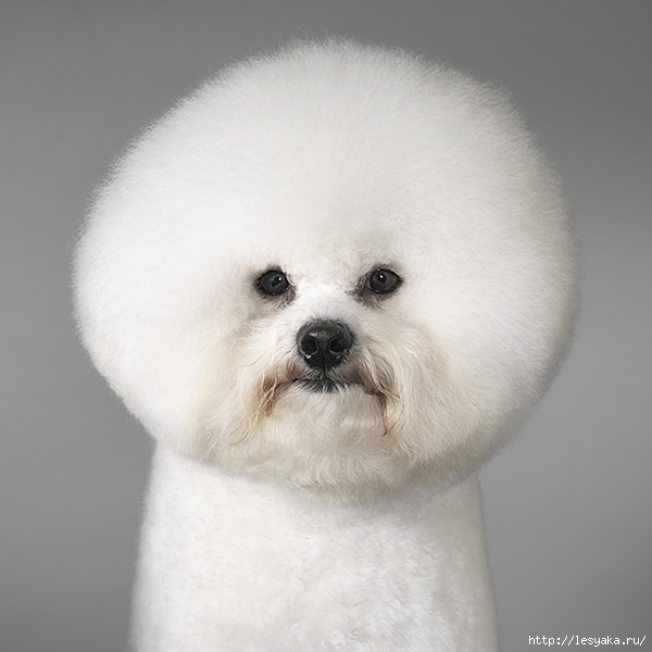 tim-flach-19 (600x600, 188Kb)