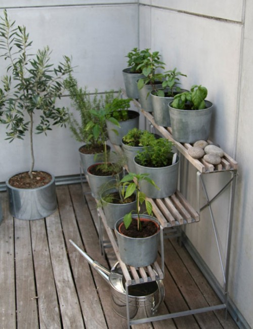 herb-garden-inspirations28-500x650 (500x650, 232Kb)