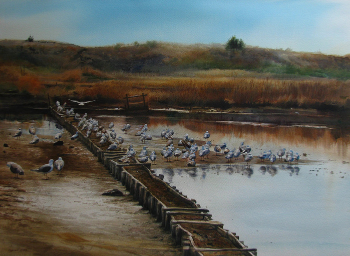 landscape_with_sea_birds_by_andrianart-d57276l (700x511, 422Kb)