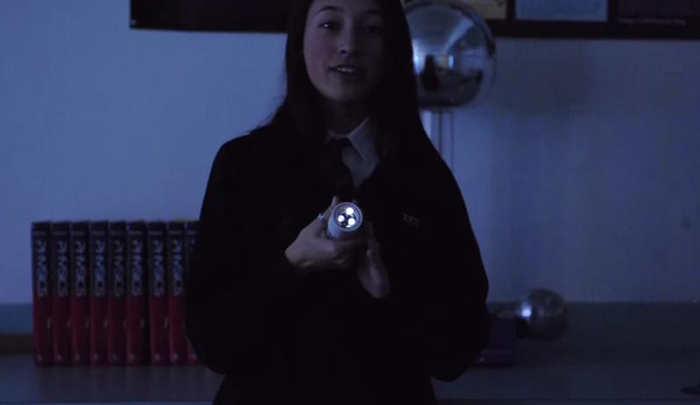 Hollow Flashlight (700x405, 102Kb)