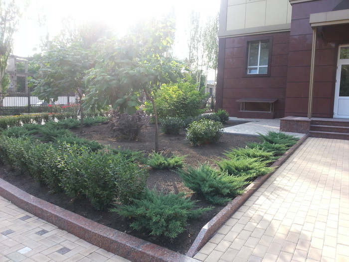 20130709_174428 (700x525, 186Kb)