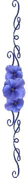 76941027_63843372_42351166_S22a (56x348, 6Kb)