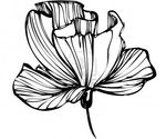 Превью 13164555-sketch-of-flower-buds-on-a-white-background (400x334, 76Kb)