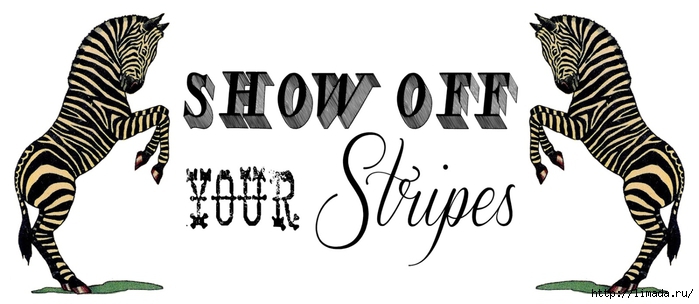 234-ShowOffZebra (700x304, 127Kb)