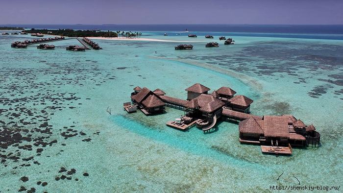 Gili_Lankanfushi_hqroom_ru_02 (700x394, 279Kb)