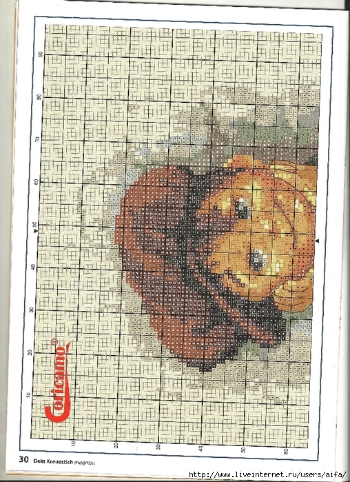 aifa (28) (508x700, 404Kb)