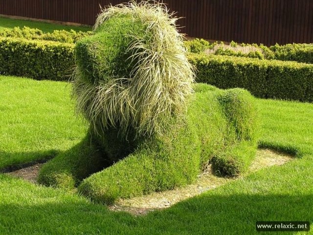Image result for topiary john brooker