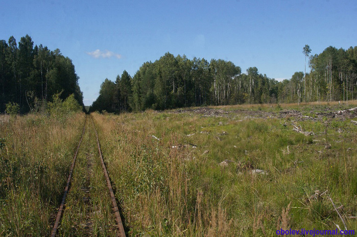 DSC05506 (700x464, 185Kb)