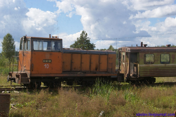 DSC05797 (700x464, 151Kb)