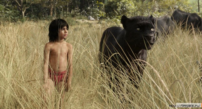 3925073_kinopoisk_ruTheJungleBook2650533 (700x378, 194Kb)