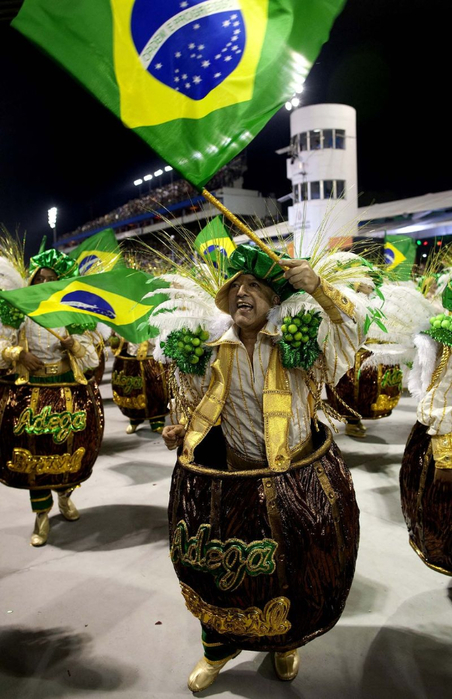 carnaval-019 (452x700, 366Kb)