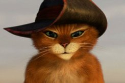 imgpreview (245x163, 28Kb)