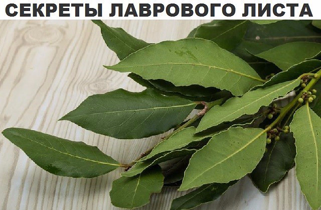 image (640x418, 273Kb)