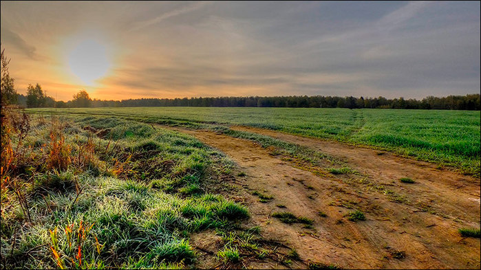 Дорога в поле озимых/3673959_14 (700x393, 117Kb)