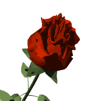 роза живая (200x200, 34Kb)