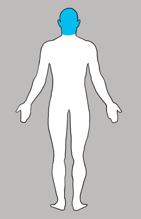 image (8) (451x700, 17Kb)